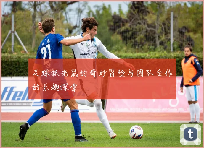 足球抓老鼠的奇妙冒险与团队合作的乐趣探索