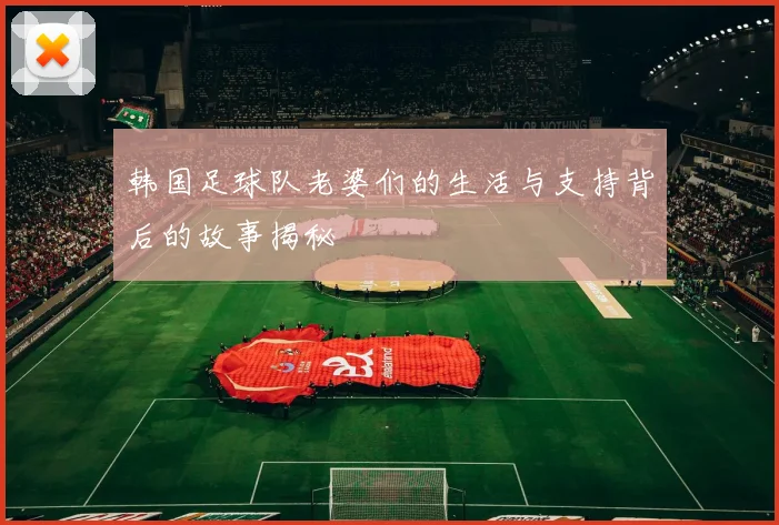 韩国足球队老婆们的生活与支持背后的故事揭秘