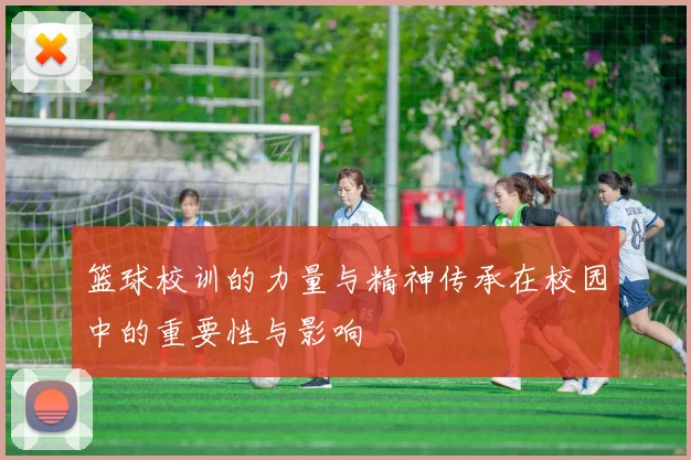 篮球校训的力量与精神传承在校园中的重要性与影响