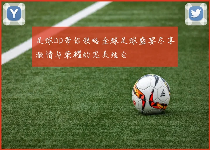 足球np带你领略全球足球盛宴尽享激情与荣耀的完美结合